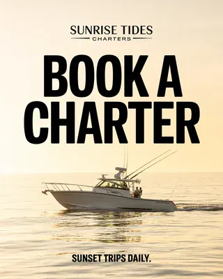 Poster made by Spark for the sample brand Sunrise Tides Charters: Book a charter
